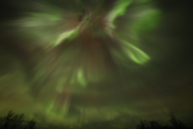 1 Day Shared Tour Arctic Circle and Aurora Viewing in Alaska - Safety and Comfort During the Long Journey