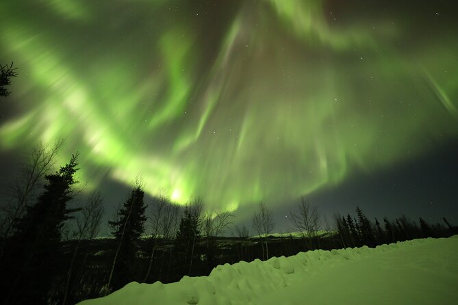 1 Day Shared Tour Arctic Circle and Aurora Viewing in Alaska - No Dinner Included but Plenty of Scenic and Photo Stops