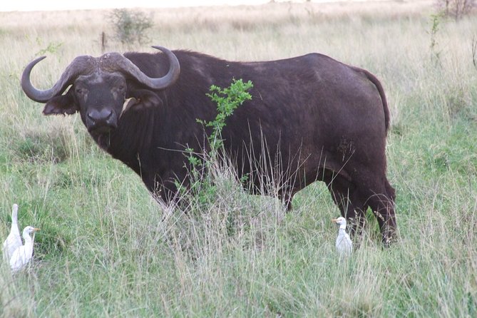 1 Day Shimba Hills starting from Diani Beach. - Key Points