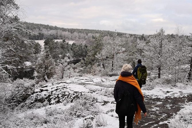 1-Day Small-Group Stockholm Nature Hiking - The Itinerary and Main Activities