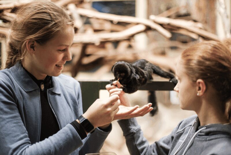 1-day ticket for Schwerin Zoo - Explore the Unique 1-Day Schwerin Zoo Ticket