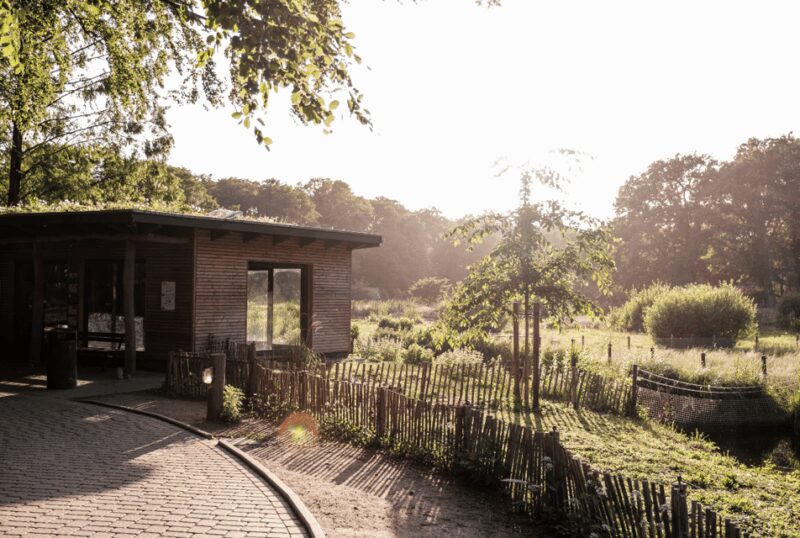 1-day ticket for Schwerin Zoo - Discovering the Endangered Animal Collection