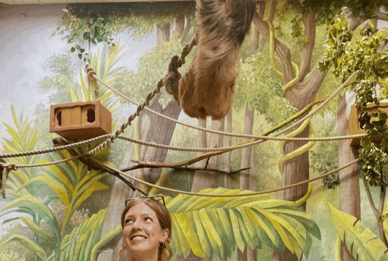 1-day ticket for Schwerin Zoo - Engaging Animal Encounters and Habitats