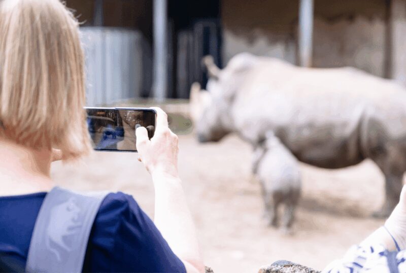 1-day ticket for Schwerin Zoo - Facilities: Playgrounds, Rest Areas, and Food Options