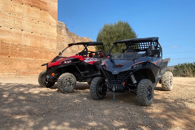 1 Day Tour - Discovering Paderne Castle and Seasonal Stops