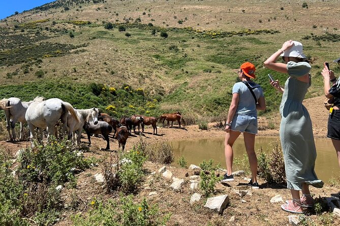 1-Day Tour in Blue Eye, Monastery, Gjirokaster and Lekursi Castle - Practicalities of the Tour Experience