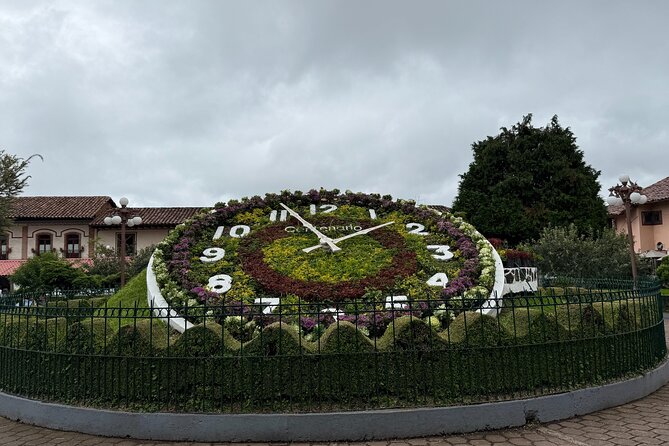 1 Day Tour to Zacatlán and Chignahuapan from Mexico city - Tasting the Artisanal Bread at Panadería Pimentel