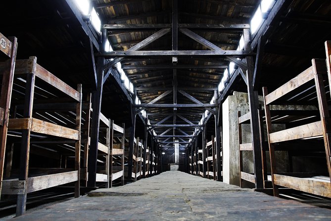 1 Day Trip Auschwitz Birkenau and Salt Mines with Hotel Transfer - Who Will Appreciate This Tour Most?