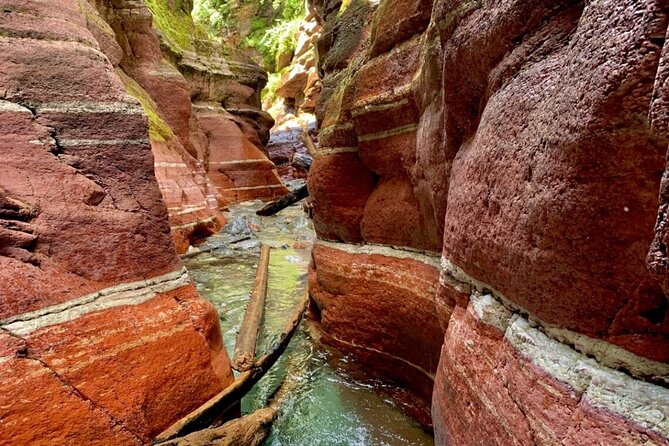 1 Day Waterton Lakes National Park Tour from Calgary - Key Points