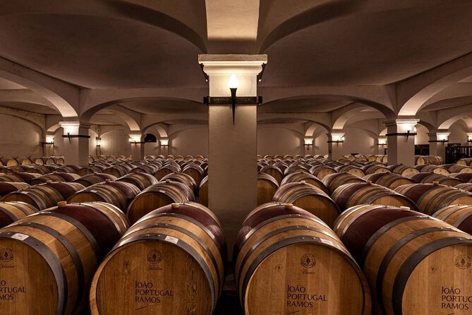 1 Day Wine Tour Around Évora - The Gourmet Lunch and Food Pairings