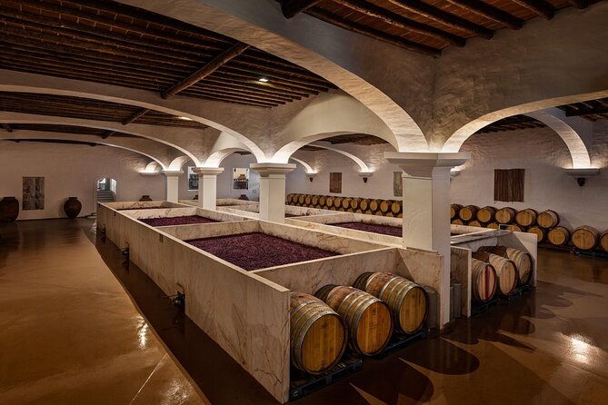 1 Day Wine Tour Around Évora - Final Thoughts on the Évora Wine Tour