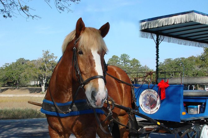 #1 Historical Horse Drawn Carriage Tour - The Historic Churches and Their Role in Beaufort