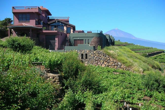 1 Hour and Half Mojo Sauce Workshop With Winery Tour - Expert Guidance and Personalized Attention