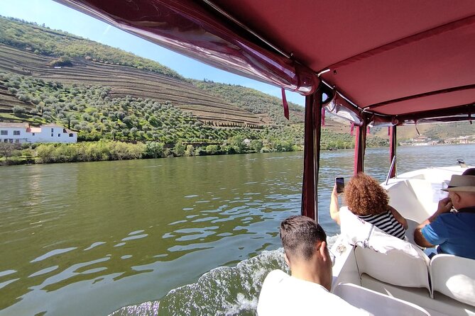 1-hour boat trip along the Douro River in Pinhão - Key Points