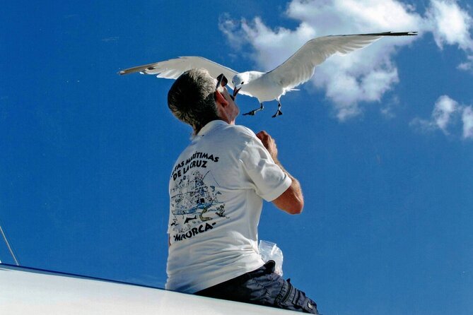 1-hour boat trip around the Port of Mahón - The Experience and Commentary Style on Board