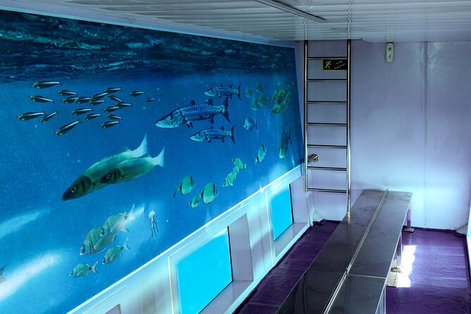 1-hour boat trip around the Port of Mahón - Meeting Point and Accessibility