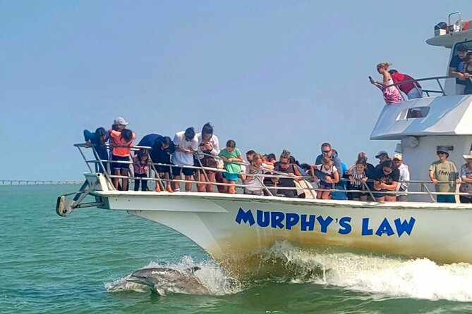 1 Hour Dolphin Dash - The 1 Hour Dolphin Dash: A Fast and Fun Marine Encounter