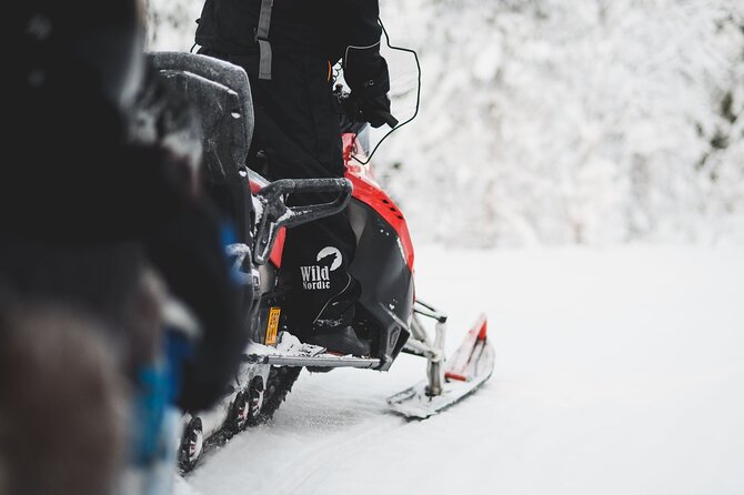1 Hour Easy Snowmobile Safari in Levi - Safety and Additional Costs: Liability and Insurance Options
