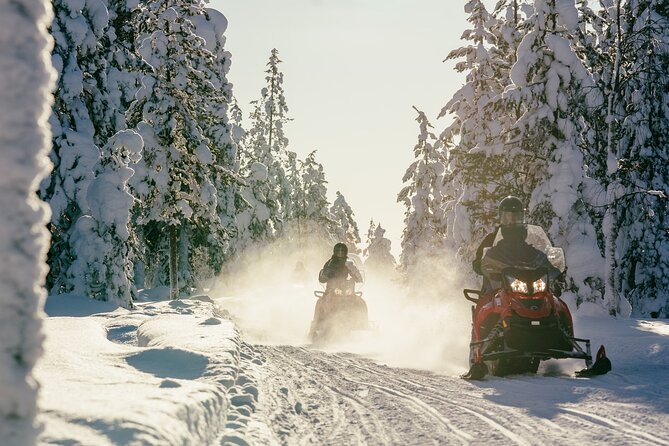 1 Hour Easy Snowmobile Safari in Levi - Scenic Route and Photo Opportunities Along the Route