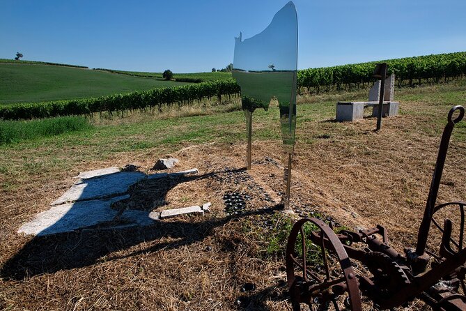 1-Hour Experience with Brunello. Visit to the Vineyard and Cellar - The Focus on Women-Led Winemaking at Casato Prime Donne