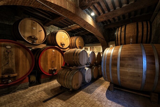 1-Hour Experience with Brunello. Visit to the Vineyard and Cellar - Cellar and Vinification Tour Highlights
