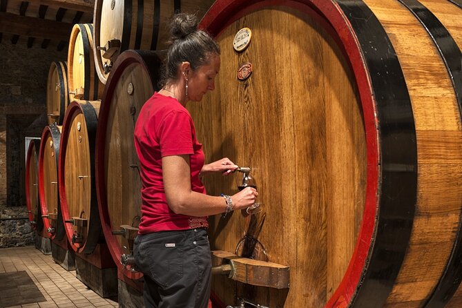 1-Hour Experience with Brunello. Visit to the Vineyard and Cellar - The Brunello Tasting Experience