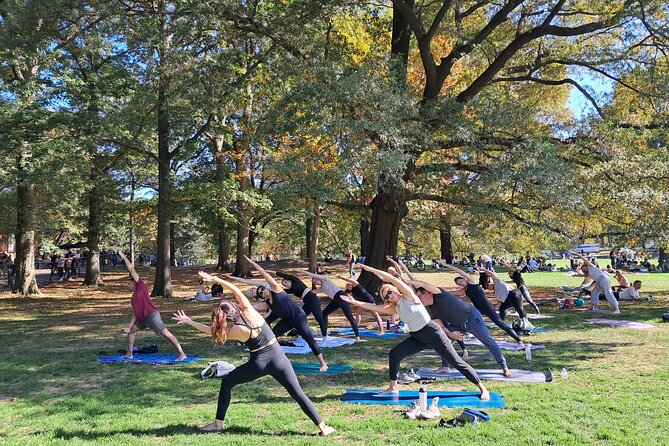 1 Hour Group Yoga Class in Central Park - Key Points