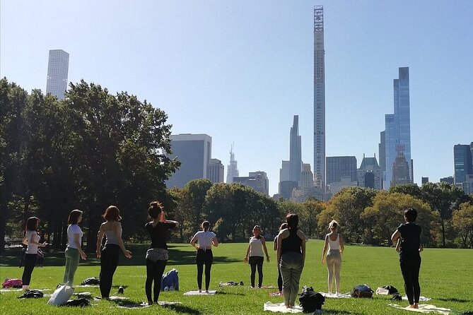 1 Hour Group Yoga Class in Central Park - What the Yoga Class Covers