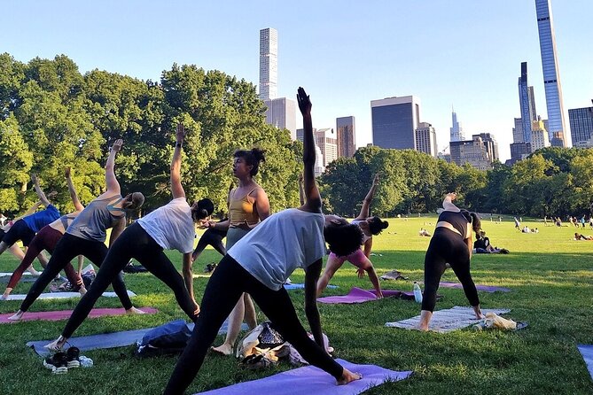 1 Hour Group Yoga Class in Central Park - Practical Tips for Participants
