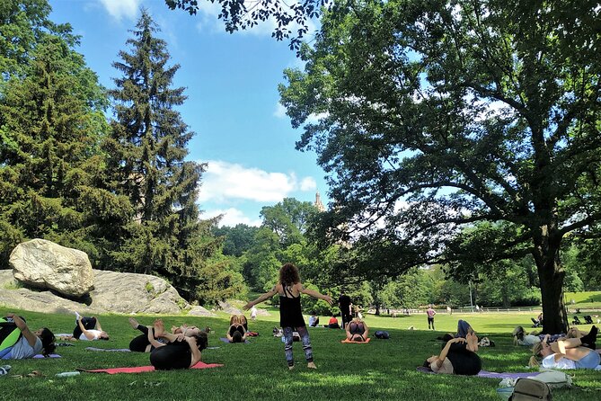 1 Hour Group Yoga Class in Central Park - Cancellation and Weather Policy