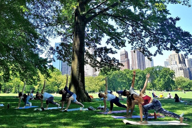 1 Hour Group Yoga Class in Central Park - Comparing with Other Activities in New York City