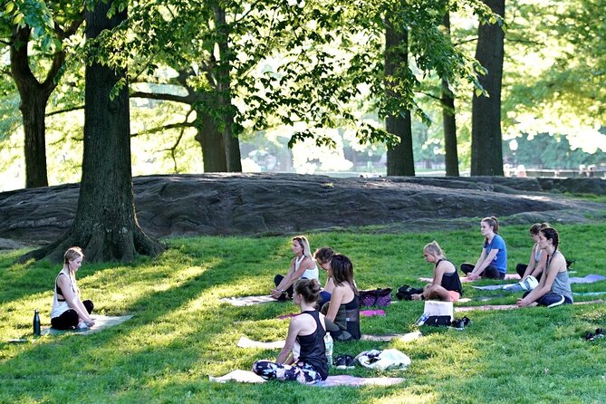 1 Hour Group Yoga Class in Central Park - Final Thoughts on the Central Park Yoga Class