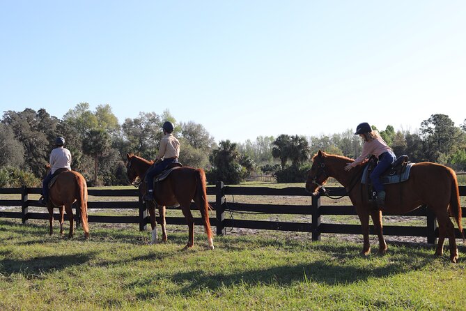 1 Hour Guided Horseback Trail Ride Rock Springs Run State Reserve - Meeting Point and Group Size: Small, Intimate Adventures