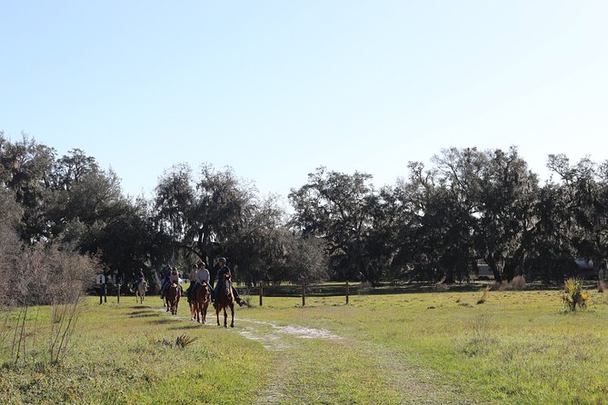1 Hour Guided Horseback Trail Ride Rock Springs Run State Reserve - Final Thoughts on the Rock Springs Run State Reserve Horseback Ride