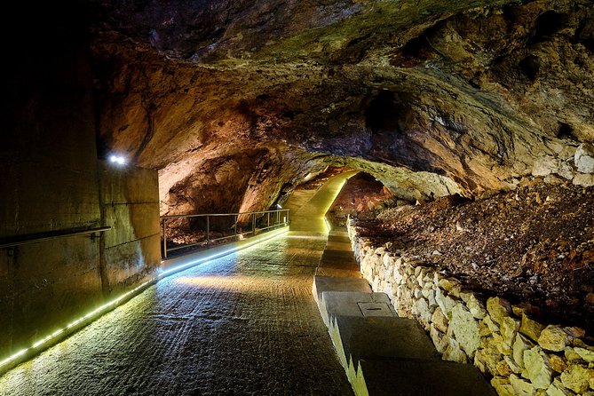 1-Hour Guided Lipa Cave Adventure in Montenegro - Key Points