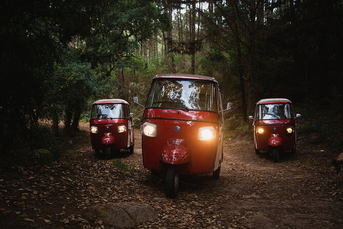 1-Hour Guided Tuk-Tuk Tour in Sintra - Discovering the Ancient Duck Houses at Park of Pena