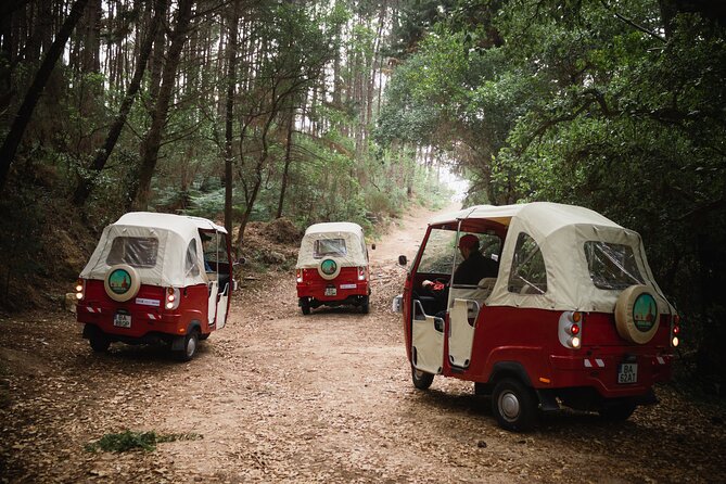 1-Hour Guided Tuk-Tuk Tour in Sintra - Passing by the Castelo dos Mouros