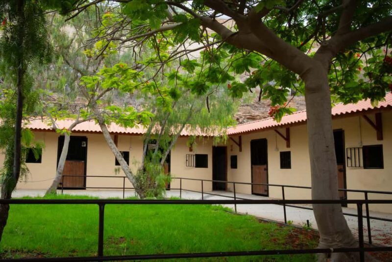 1-hour horseback ride in the south of Tenerife - Frequently Asked Questions