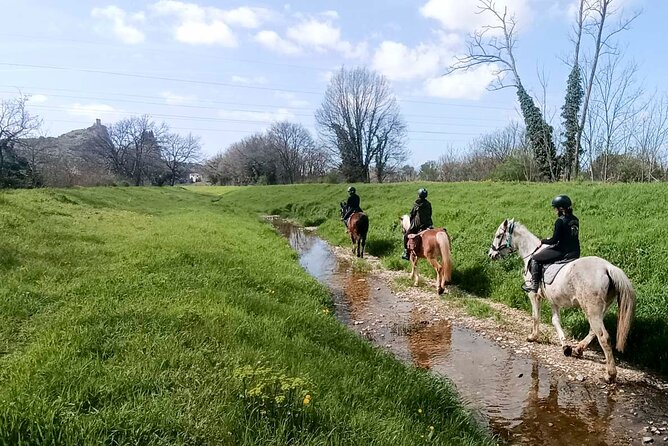 1 hour horseback ride in Valgraziosa Pisa - Horses and Guides: The Heart of the Experience