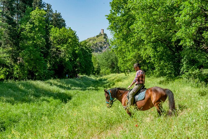 1 hour horseback ride in Valgraziosa Pisa - Safety and Accessibility Considerations