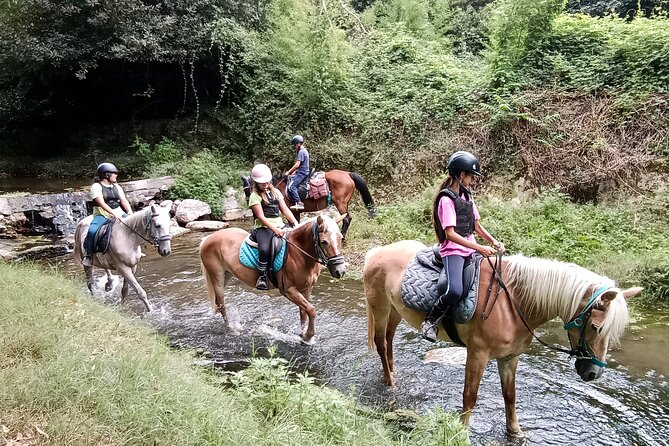 1 hour horseback ride in Valgraziosa Pisa - Who Should Consider This Tour?