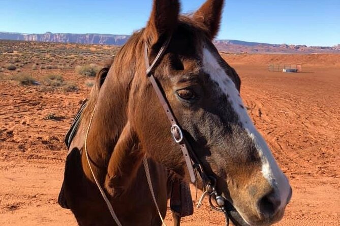 1 Hour Horseshoe Bend Trail Ride - The Navajo Nation Connection and Cultural Heritage