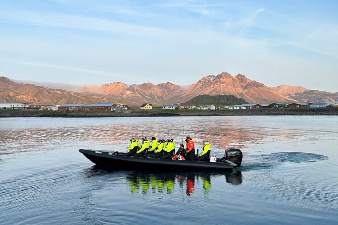 1 Hour Iceland Nature and Wildlife RIB Small Group Guided Safari - Spotting Seals, Dolphins, and Whales