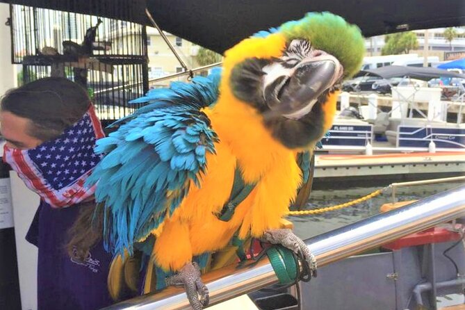 1-Hour Interactive Pirate Cruise (arrive 30 minutes early) - Key Points