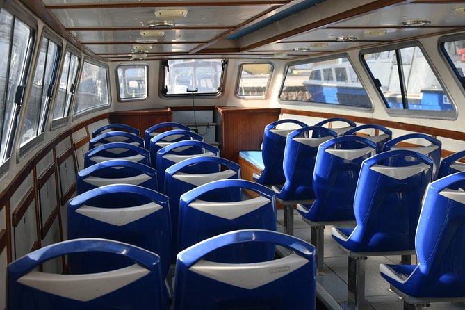 1-hour panoramic tour of Venice by boat - The Experience: Comfort and Commentary