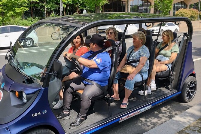 1 Hour Philadelphia Private Guided Tour by Deluxe Electric Car - Key Points