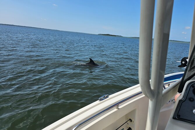 1 Hour Private Dolphin and Nature Tour - Key Points