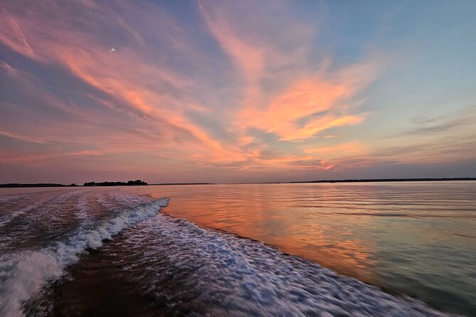 1 Hour Private Dolphin and Nature Tour - Wildlife Viewing in Pinkney Island Refuge