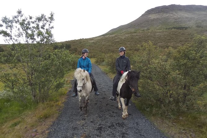 1+ hour Private Horse riding tour from Reykjavík/Mosfellsbær - Key Points