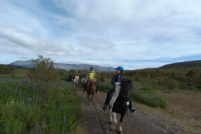 1+ hour Private Horse riding tour from Reykjavík/Mosfellsbær - An Intimate, Private Horseback Ride in Icelandic Wilderness